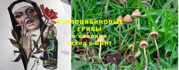 каннабис Баксан