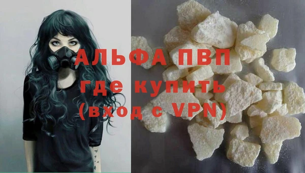 сатива Балахна