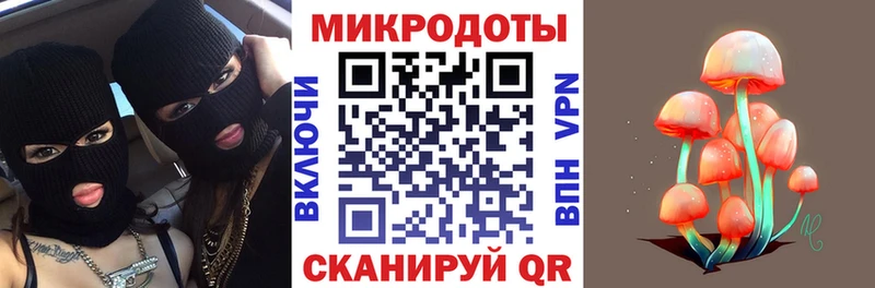 Псилоцибиновые грибы Magic Shrooms  закладки  OMG зеркало  Приозерск 